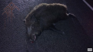 «Про Город» тунӑ сӑн