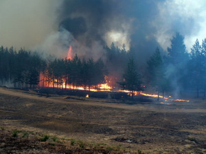 Йӑлӑм енчи пушар. 2010,08,08. ИӖМ (МЧС) сӑнӗ