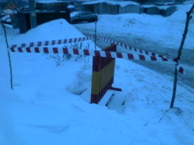 Елена Есина тунӑ сӑн