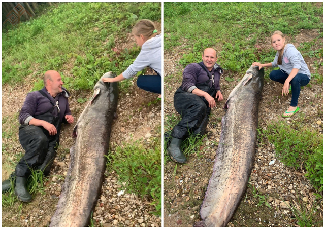 Алексей Милашин тунӑ сӑн