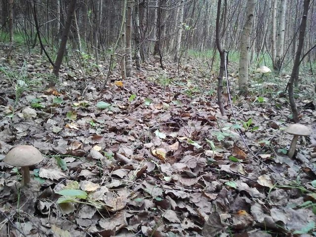 land-cruiser.ru сайтран илнӗ сӑн