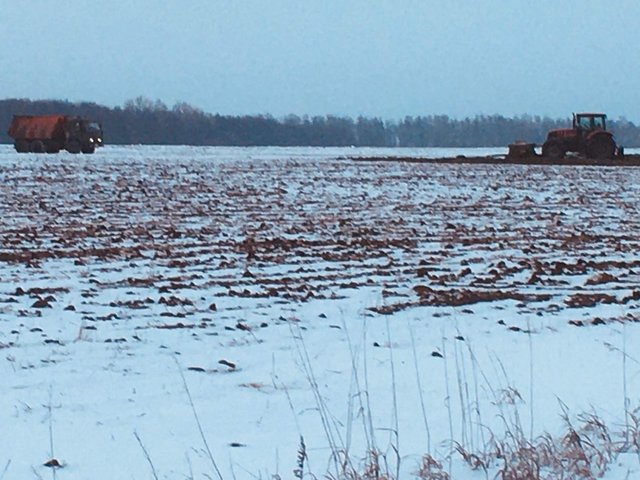 Сергей Беккер тунӑ сӑн