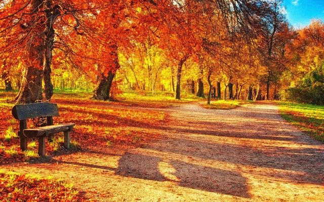 diamant.su сайтри сӑн