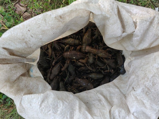 forum.na-svyazi.ru сӑнӳкерчӗкӗ