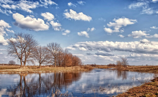 artfile.ru сайтри сӑн