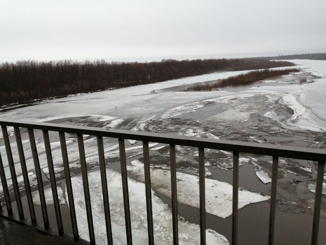 Евгений Лебедев архивӗнчи сӑн