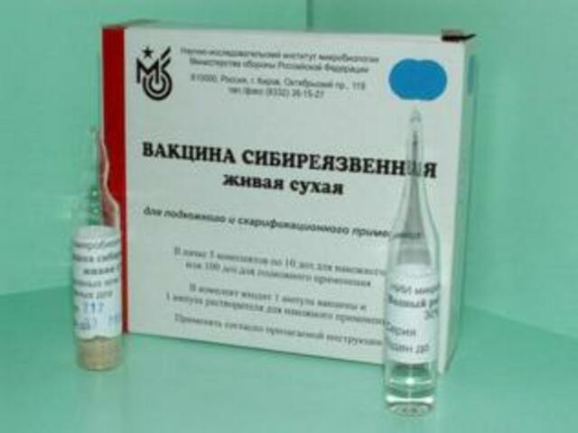 studfile.net сайтри сӑн