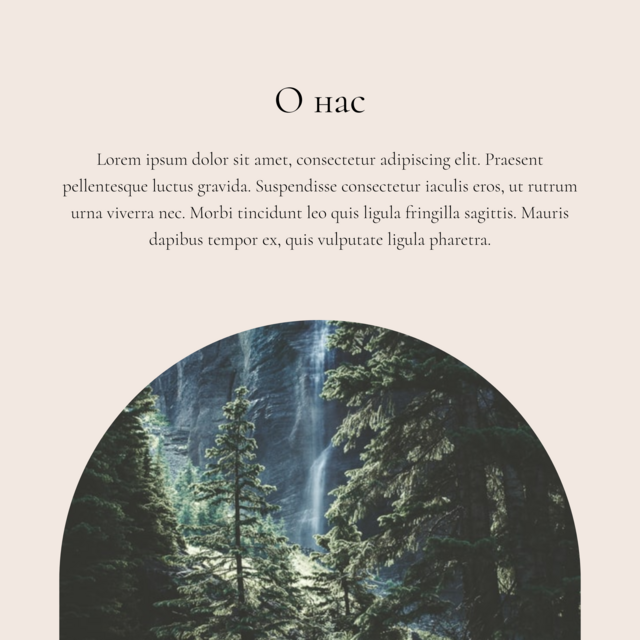 Халӑх тетелӗнчи Ольга Туркай страницинчен илнӗ сӑнӳкерчӗк