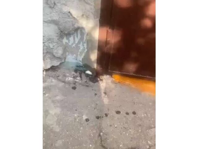 t.me/pro_cheby видеоран илнӗ сӑнӳкерчӗк