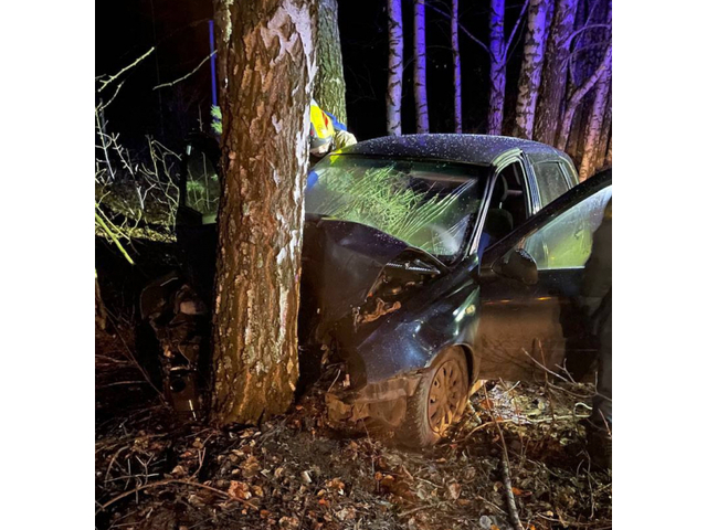 ШӖМ тунӑ сӑн