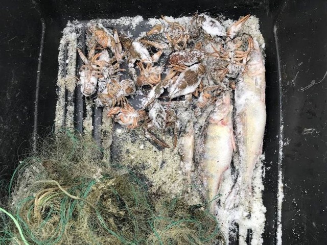 ШӖМӗн лини ҫинчи пайӗн сӑнӳкерчӗкӗ