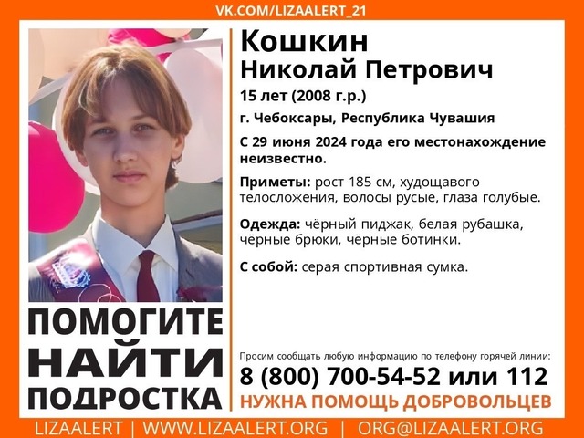 "Лиза Алерт" архивӗнчи сӑн