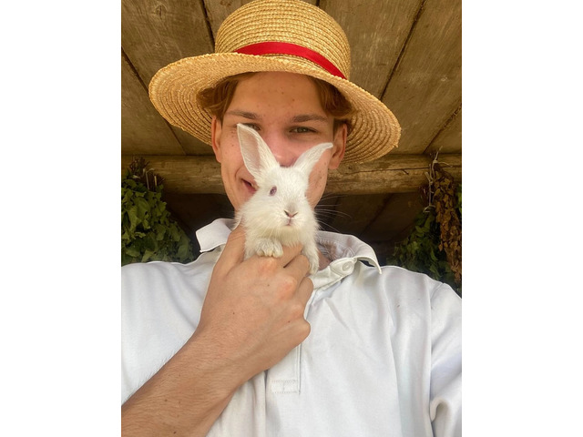 Кирил Степанов архивӗнчи сӑн