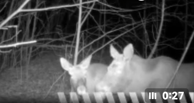 Cap.ru видеовӗнчен илнӗ скриншот