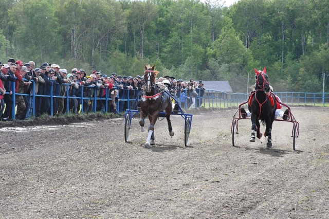 "Контактри" сӑн