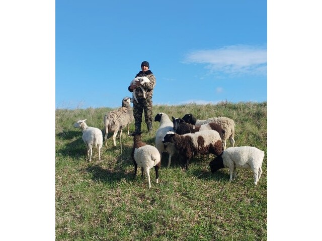 mintrud.cap.ru сӑнӳкерчӗкӗ