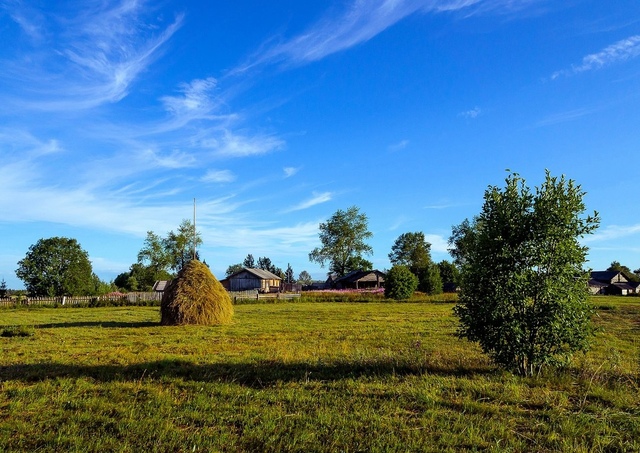 «Контактри» сӑн