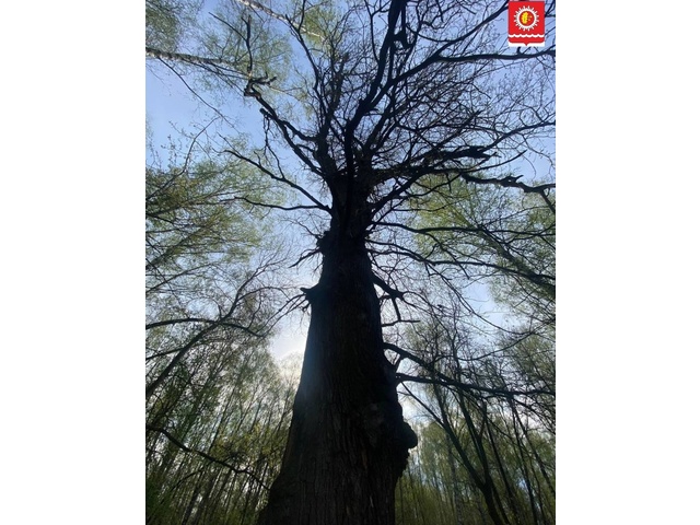 cap.ru сайтри сӑн