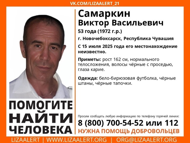 «Лиза Алерт» шыравпа ҫӑлав отрячӗн сӑнӳкерчӗкӗ