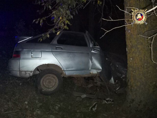 ҪҪХПИ тунӑ сӑн