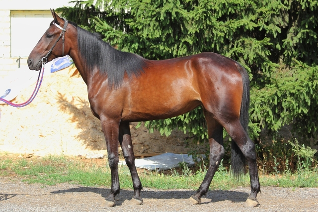 "Контактри" сӑн