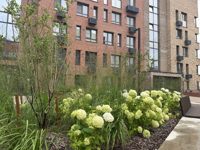 «Чеб.ру» сайтри сӑн