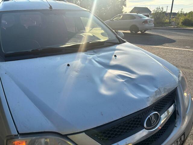 forum.zarulem.ws сайтран илнӗ сӑнӳкерчӗк