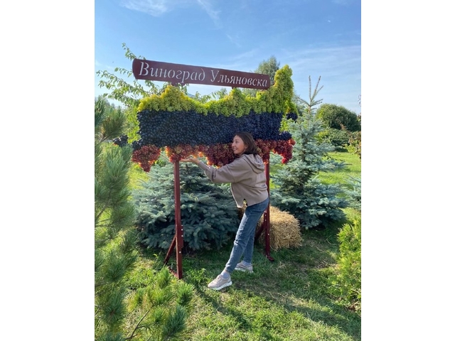 "Контактри" сӑн