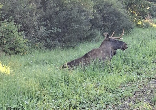 "Контактри" сӑн