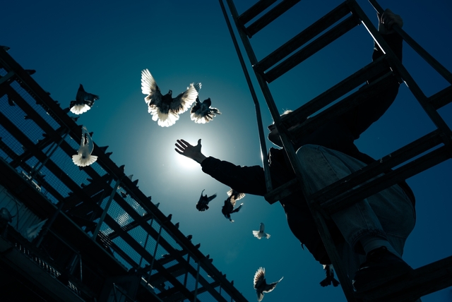 Амайа Юратса тунӑ сӑн