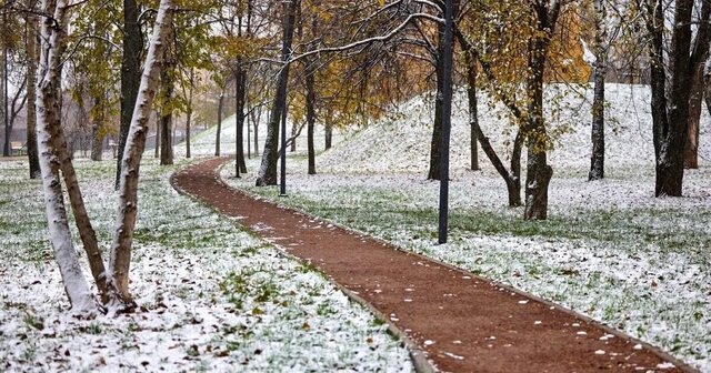 m24.ru сайтри сӑн