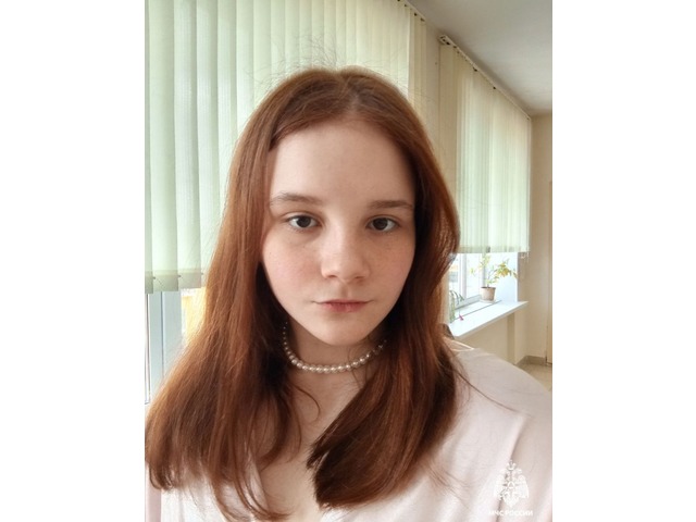 Чӑваш Енӗн Инкеклӗ ӗҫсен министерствин сӑнӳкерчӗкӗ