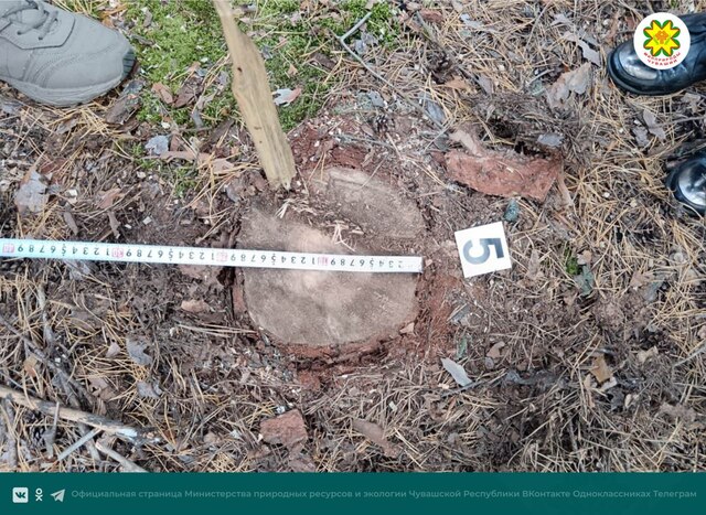 cap.ru сайтри сӑн