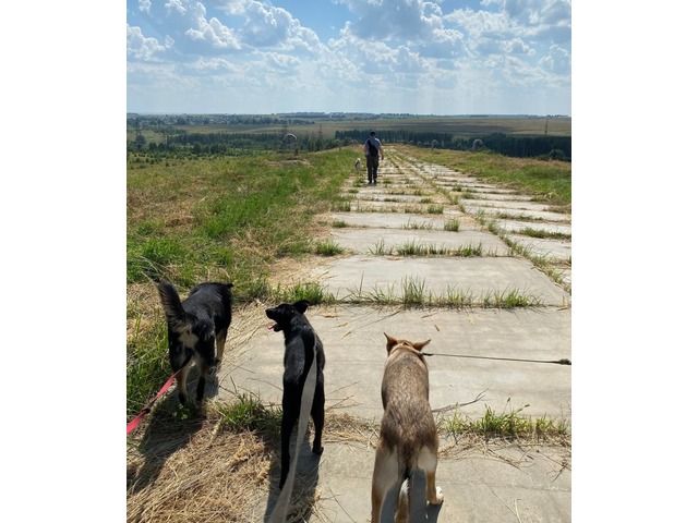 forum.na-svyazi.ru сӑнӳкерчӗкӗ