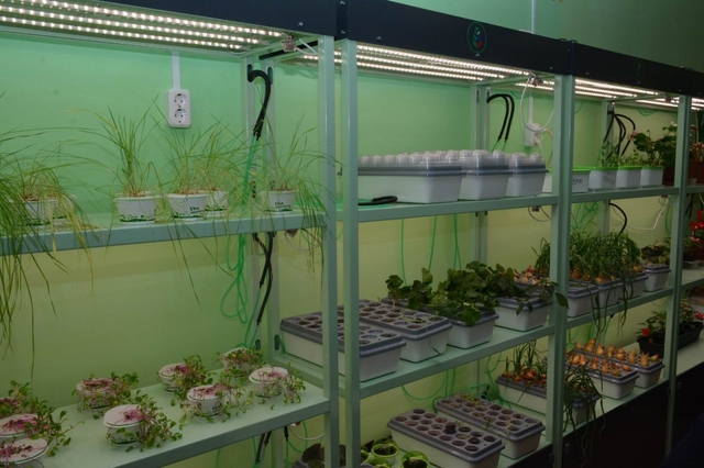 «Контактра» халӑх тетелӗнчи сӑн