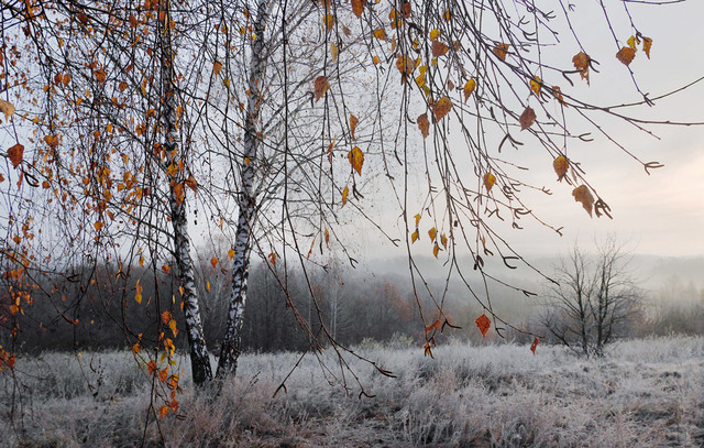 avtokoreec22.ru сайтри сӑн