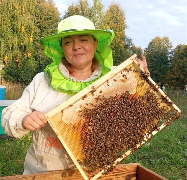 «Контактри» сӑн