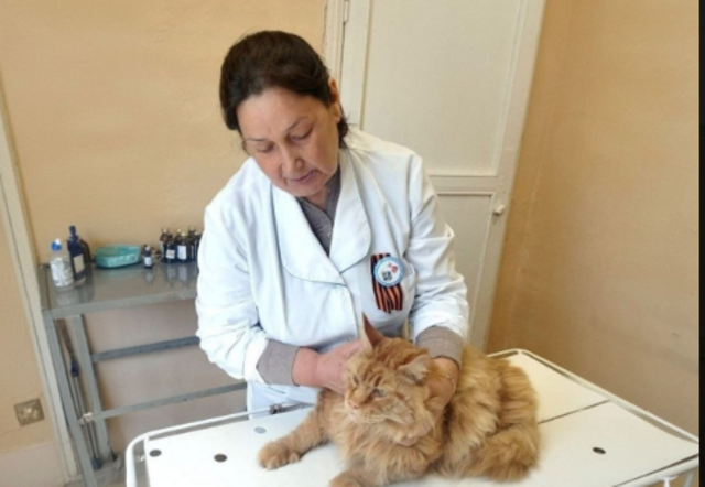 t.me/Chuv_today сӑнӳкерчӗкӗ