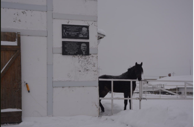 t.me/Chuv_today каналтан илнӗ сӑнӳкерчӗк