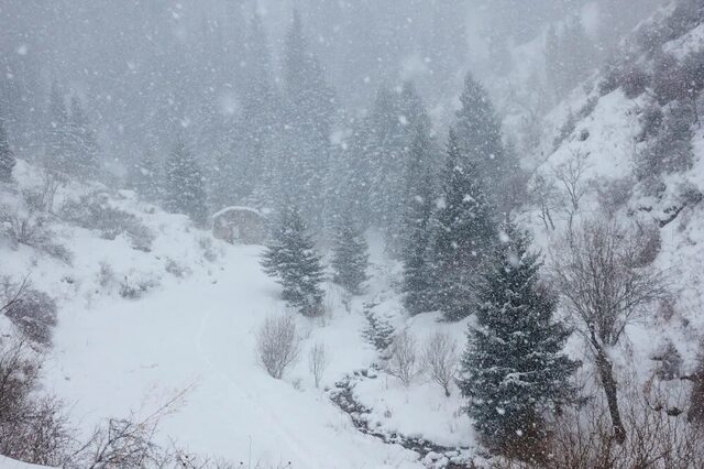 kazpravda.kz сайтри сӑн