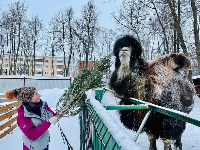 cheb.mk.ru сайтри сӑн