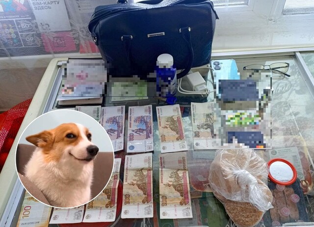 «Контактри» сӑн