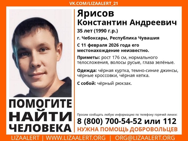 «Лиза Алерт»  сӑнӳкерчӗкӗ