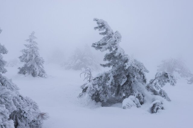 rtraveler.ru сайтри сӑн