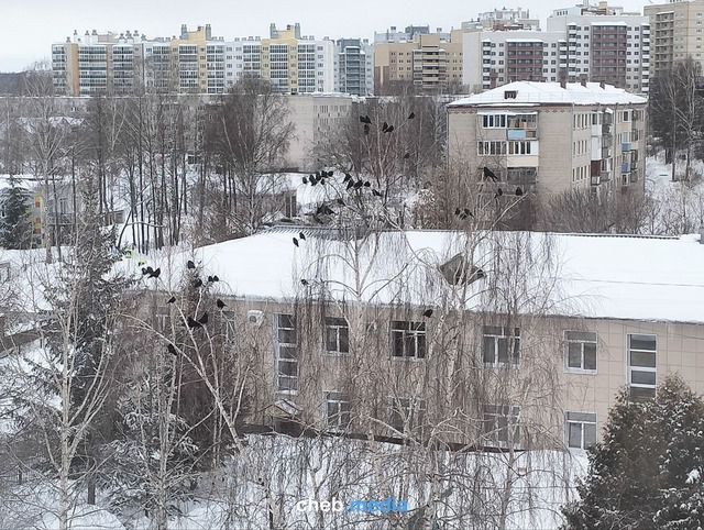 «На связи» форумри сӑн