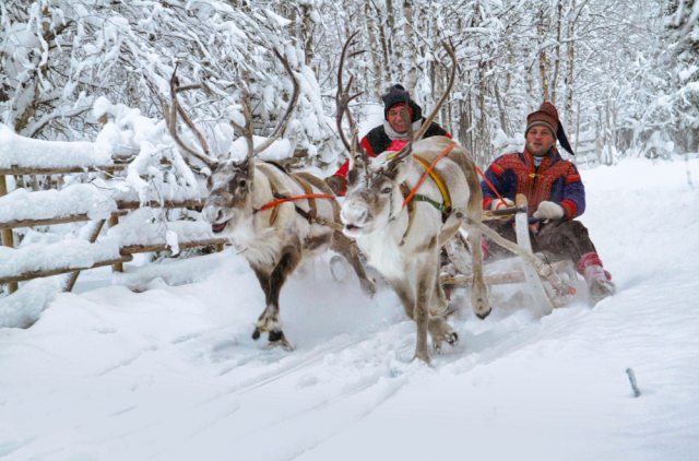 Ҫӑлкуҫ: footageclips / Shutterstock/FOTODOM