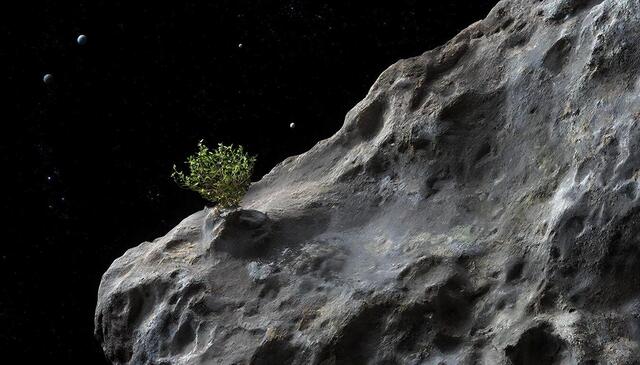 Ҫӑлкуҫ: ИИ ӑсталанӑ