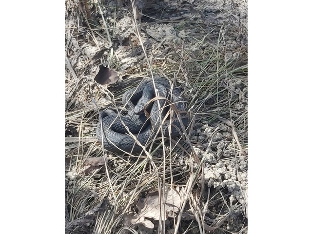 «Контактра» халӑх тетелӗнчи сӑн