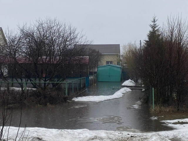 «Контактри» сӑн