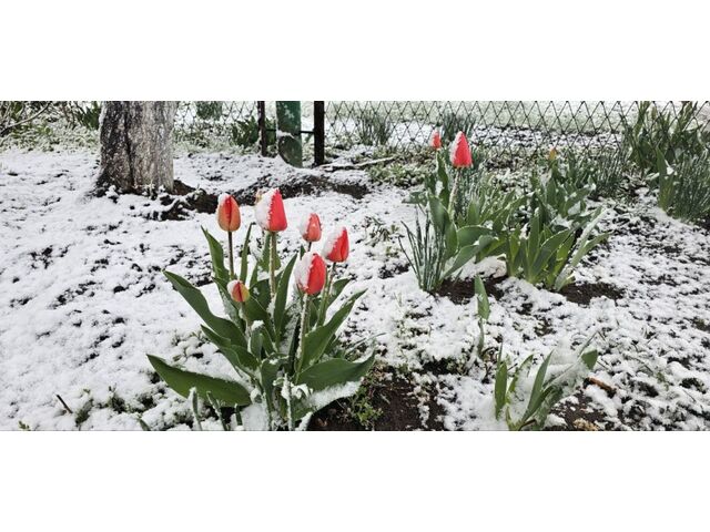 kherson-news.ru сайтри сӑн